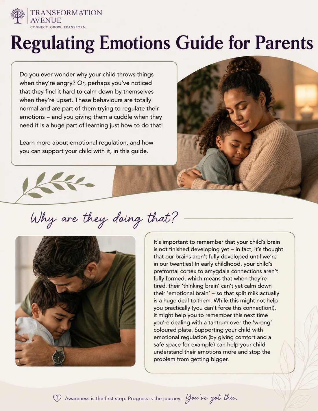 Regulating Emotions Guide for Parents — cover: why children struggle to calm down